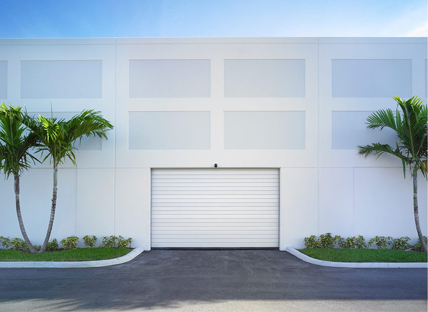 white door with palm trees on both sides