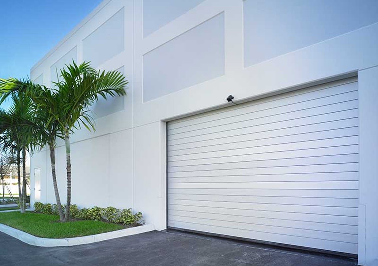 Spiral HZ door with palm trees